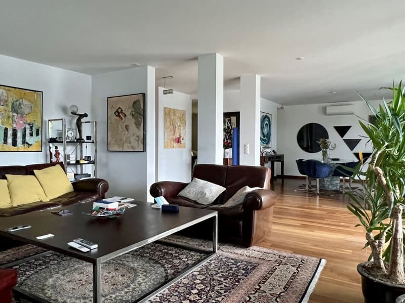 Spacious and elegant 270 sqm apartment on the top floor (2)