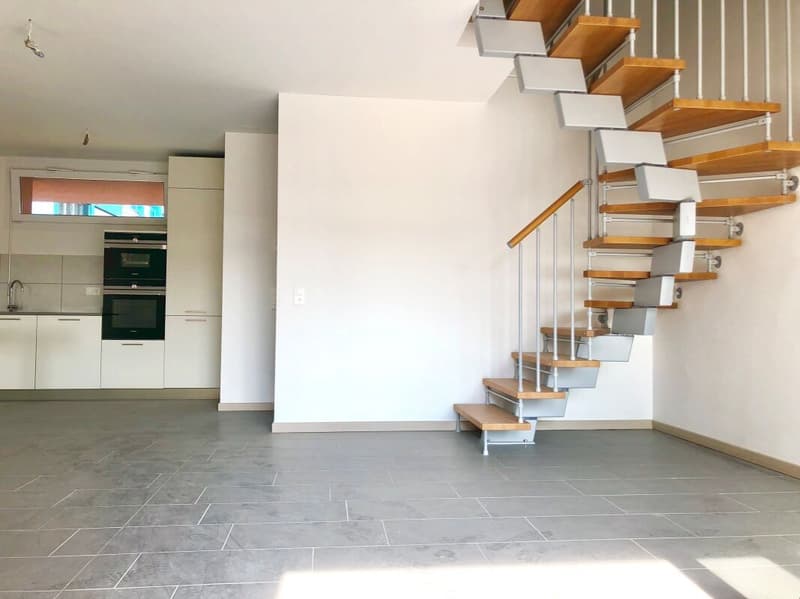 Neue Duplex-Wohnungen mit Parkplatz, 1 Monat kostenlos! (1)