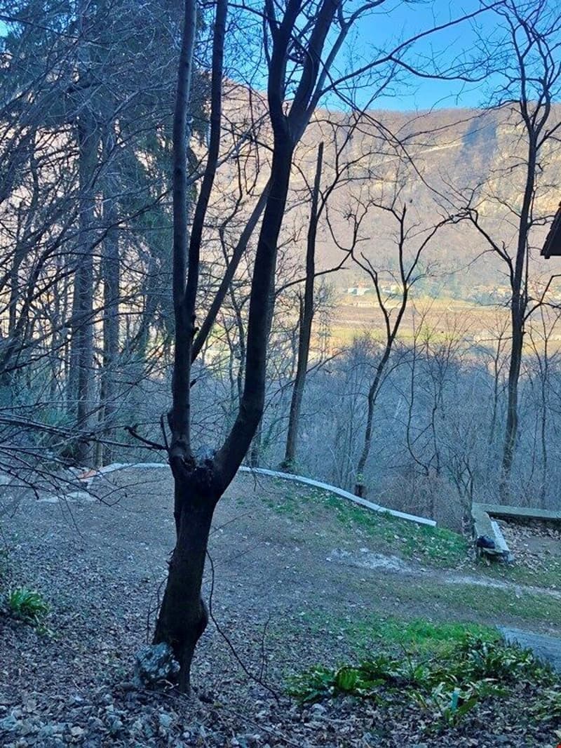 Bauland in der Gegend der Weinlager (5)