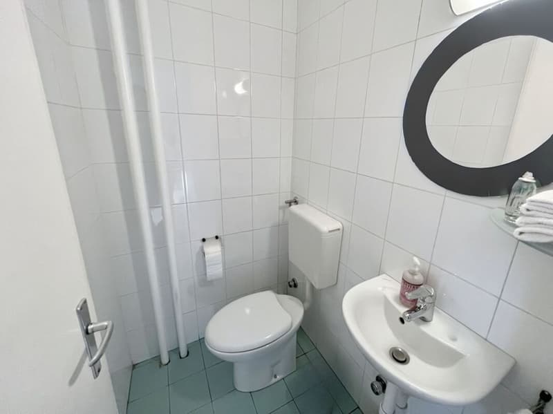 Bright and quiet 3.5-room apartment (7)