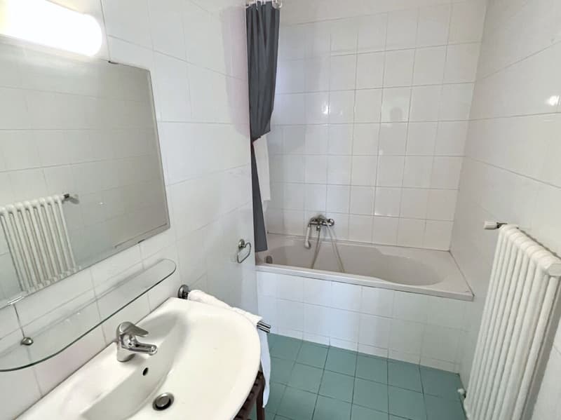 Bright and quiet 3.5-room apartment (8)