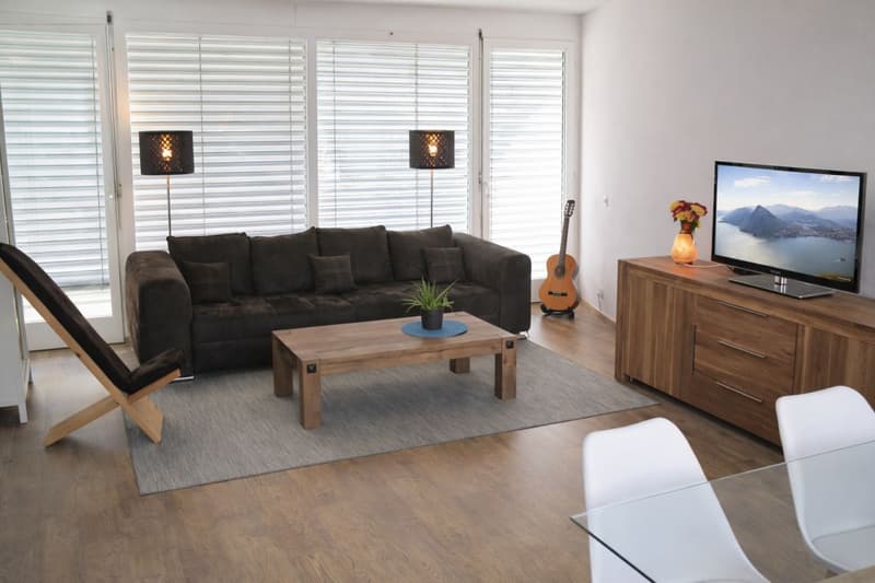 Renovated and central 3.5-room apartment for rent (6)