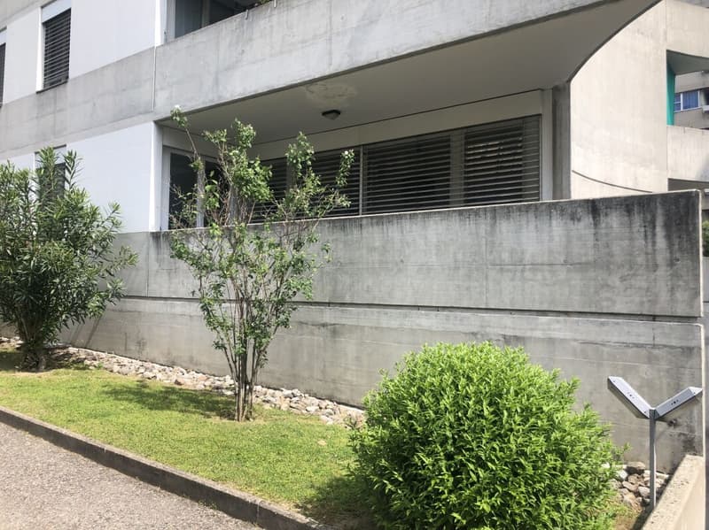 Renovated and central 3.5-room apartment for rent (5)