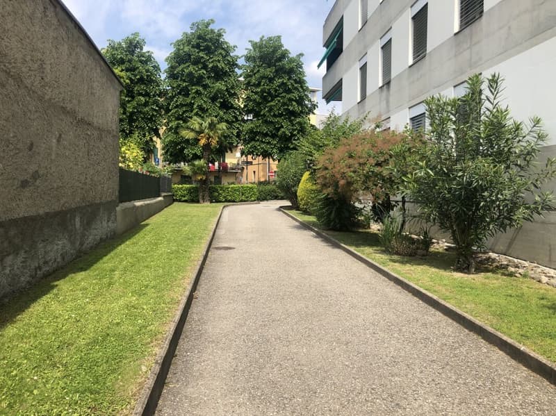 Renovated and central 3.5-room apartment for rent (4)