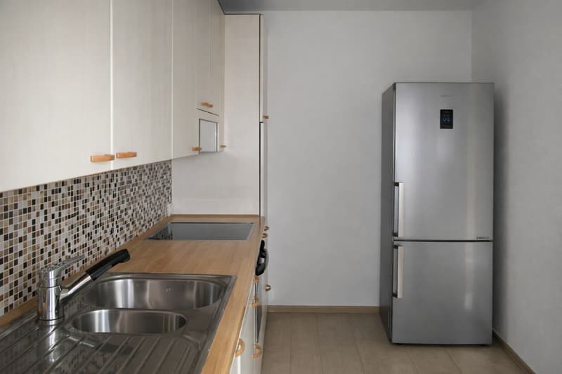 Renovated and central 3.5-room apartment for rent (7)