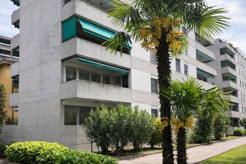 Renovated and central 3.5-room apartment for rent (3)