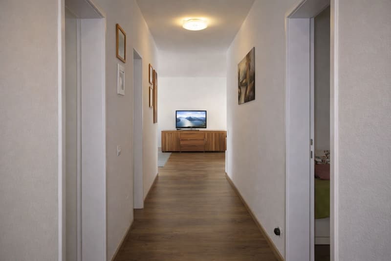 Renovated and central 3.5-room apartment for rent (2)