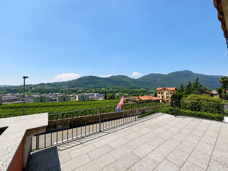 Prächtige Uni-Bi-Familien-Villa mit gepflegtem Garten, optimaler Ausrichtung und freier Sicht (27)