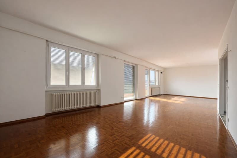 Großes und helles 5.5-Zimmer-Apartment im letzten Stock, offene Aussicht (2)