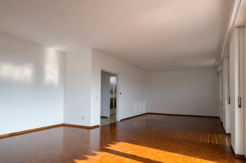 Großes und helles 5.5-Zimmer-Apartment im letzten Stock, offene Aussicht (5)