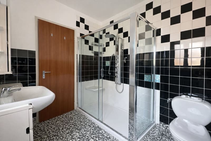 Großes und helles 5.5-Zimmer-Apartment im letzten Stock, offene Aussicht (19)