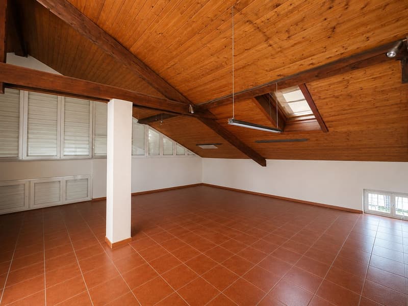 Prestigiosa villa d'epoca in tranquilla e soleggiata zona residenziale (15)