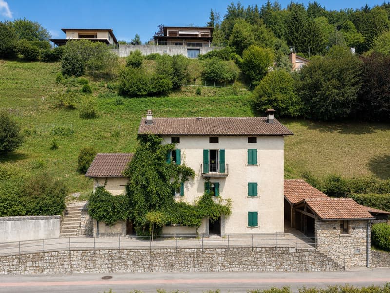 Characteristic property to be renovated with large buildable land and three additional woodland plots (2)