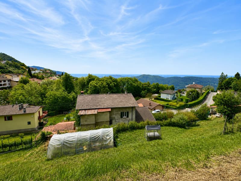 Characteristic property to be renovated with large buildable land and three additional woodland plots (10)