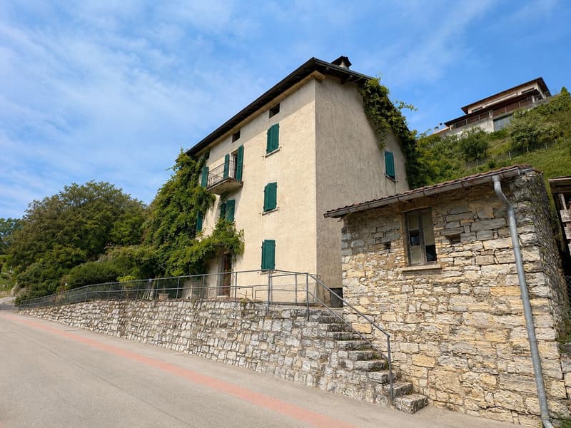 Characteristic property to be renovated with large buildable land and three additional woodland plots (4)