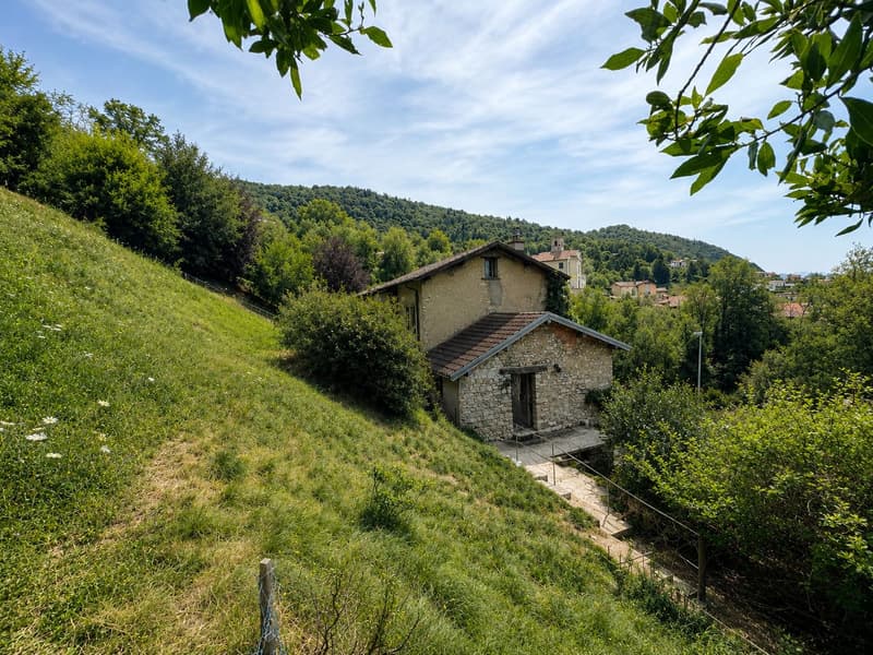 Characteristic property to be renovated with large buildable land and three additional woodland plots (6)