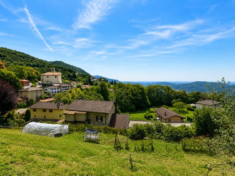 Characteristic property to be renovated with large buildable land and three additional woodland plots (9)