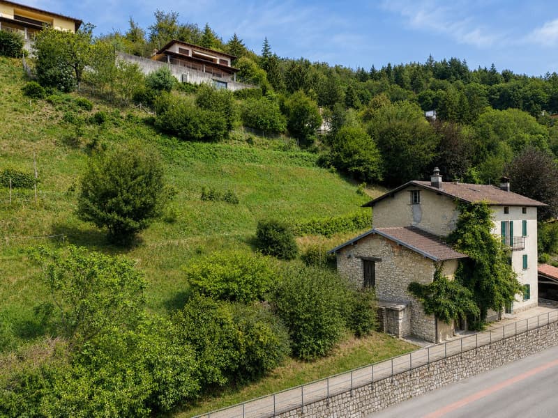 Characteristic property to be renovated with large buildable land and three additional woodland plots (3)