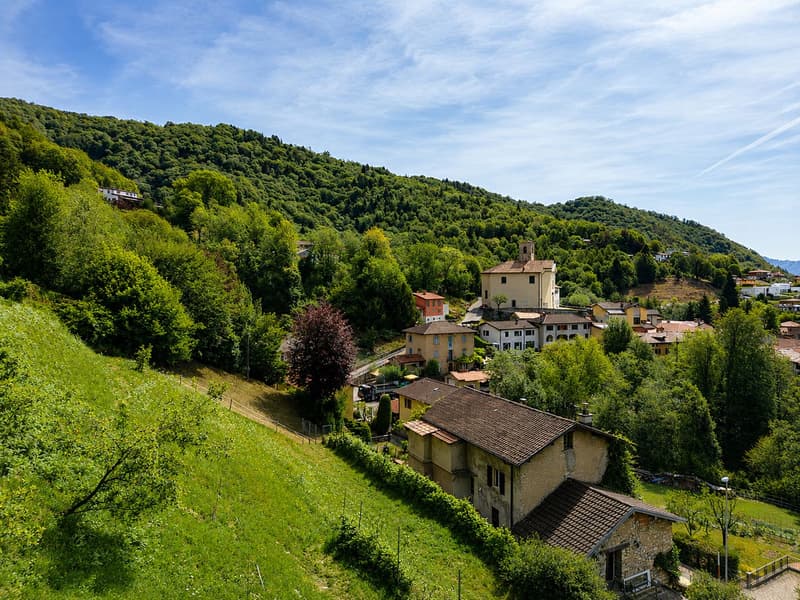 Characteristic property to be renovated with large buildable land and three additional woodland plots (7)
