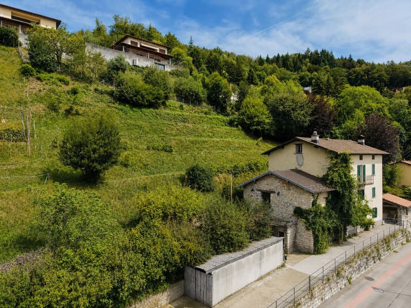 Caratteristico immobile da ristrutturare con grande terreno edificabile annesso e ulteriori 3 lotti boschivi (3)