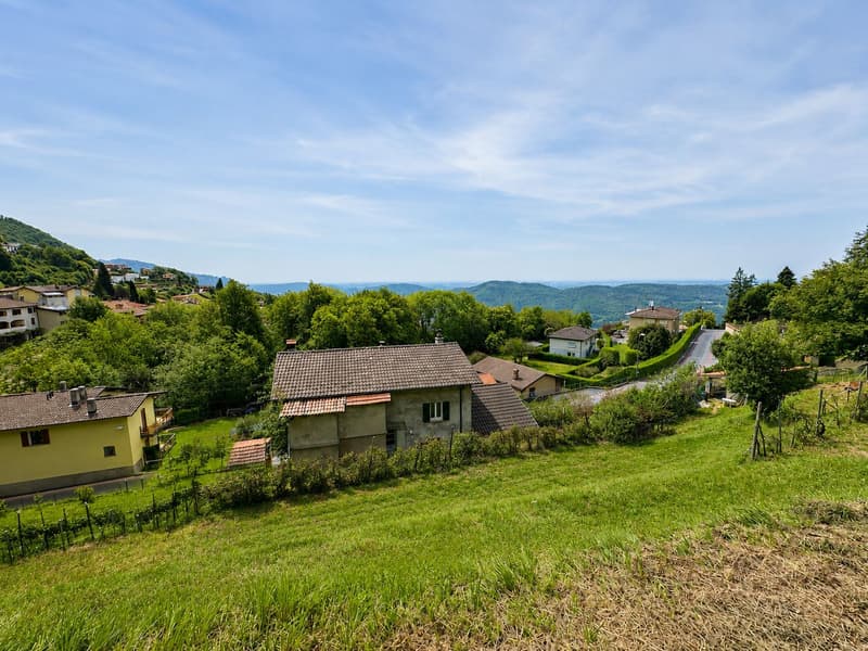 Caratteristico immobile da ristrutturare con grande terreno edificabile annesso e ulteriori 3 lotti boschivi (10)