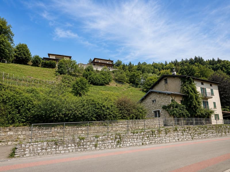 Characteristic property to be renovated with large buildable land and three additional woodland plots (5)