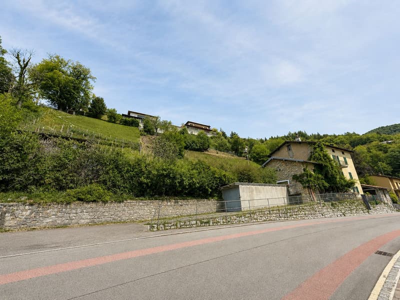 Caratteristico immobile da ristrutturare con grande terreno edificabile annesso e ulteriori 3 lotti boschivi (5)