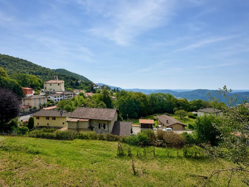 Grand terrain constructible avec construction existante et 3 lots boisés supplémentaires (6)