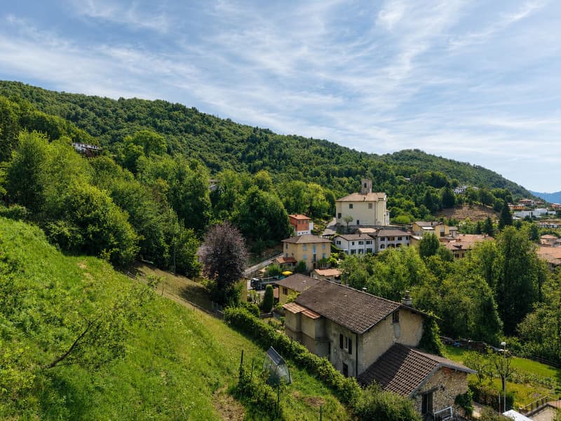 Grand terrain constructible avec construction existante et 3 lots boisés supplémentaires (5)