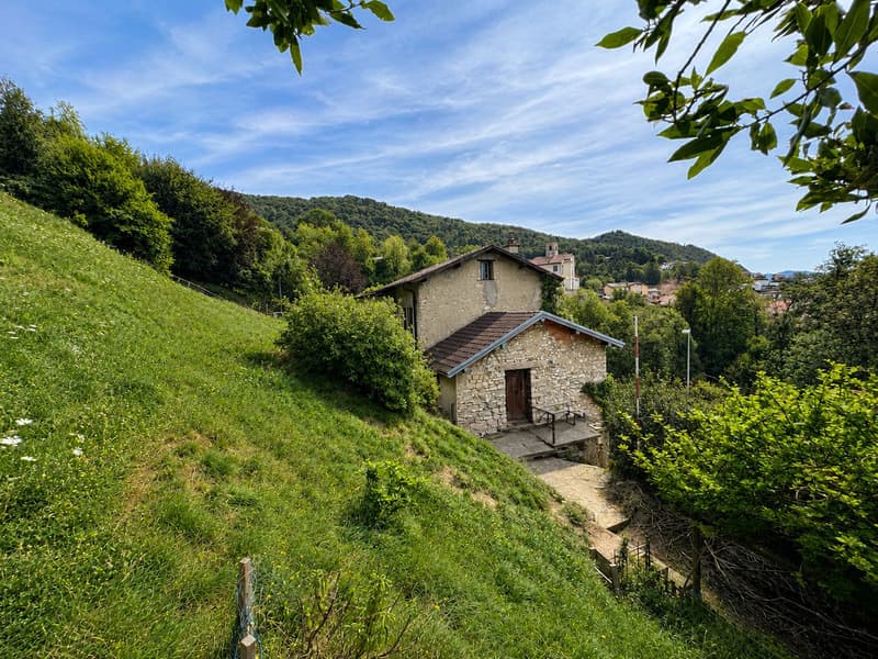 Grand terrain constructible avec construction existante et 3 lots boisés supplémentaires (4)