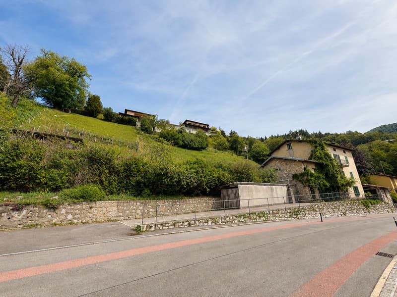 Grand terrain constructible avec construction existante et 3 lots boisés supplémentaires (3)