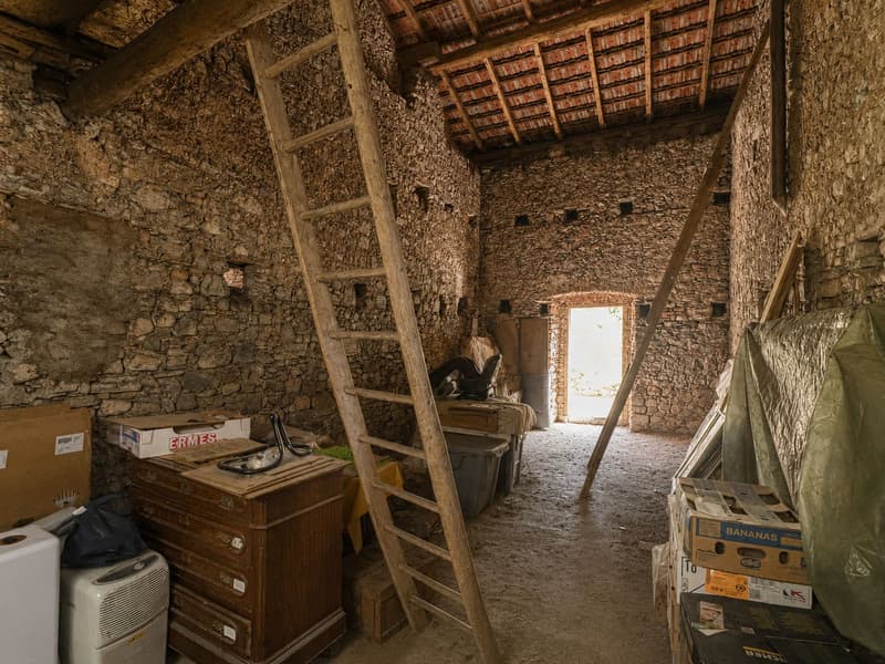 Caratteristica proprietà in zona agricola da risanare composta da 2/3 appartamenti (19)