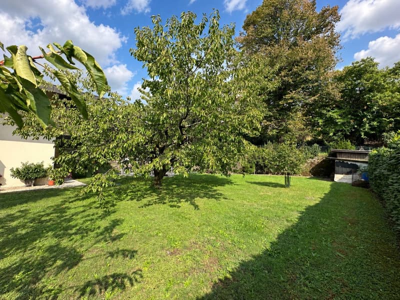 Accogliente e caratteristica casa unifamiliare con grande giardino pianeggiante ben curato (20)