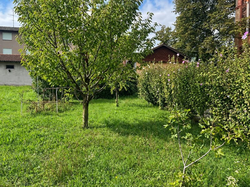 Piccola casa bifamiliare da risanare con rustico e giardino (15)