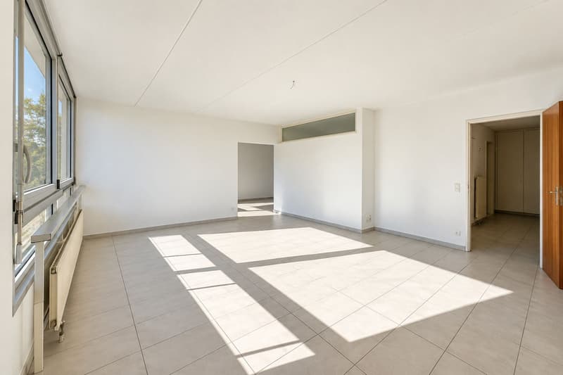 Interessante appartamento di 5.5 locali con balcone e vista aperta (3)