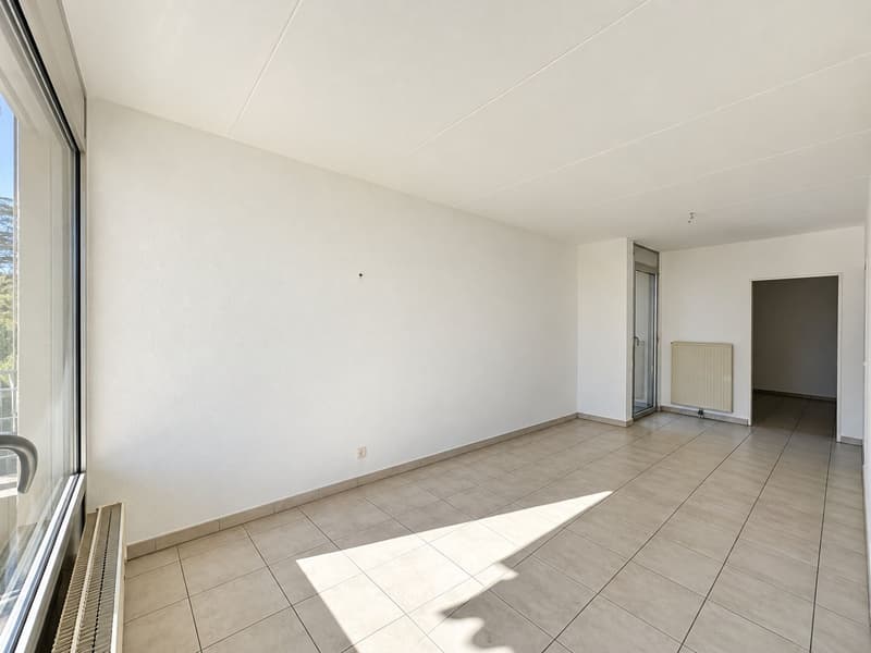 Interessante appartamento di 5.5 locali con balcone e vista aperta (9)