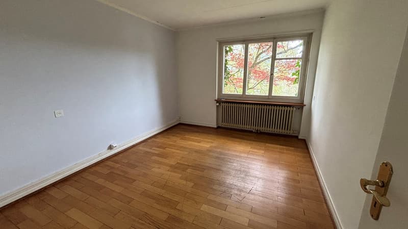 Villa di 10 stanze con grande giardino in posizione soleggiata e tranquilla (13)