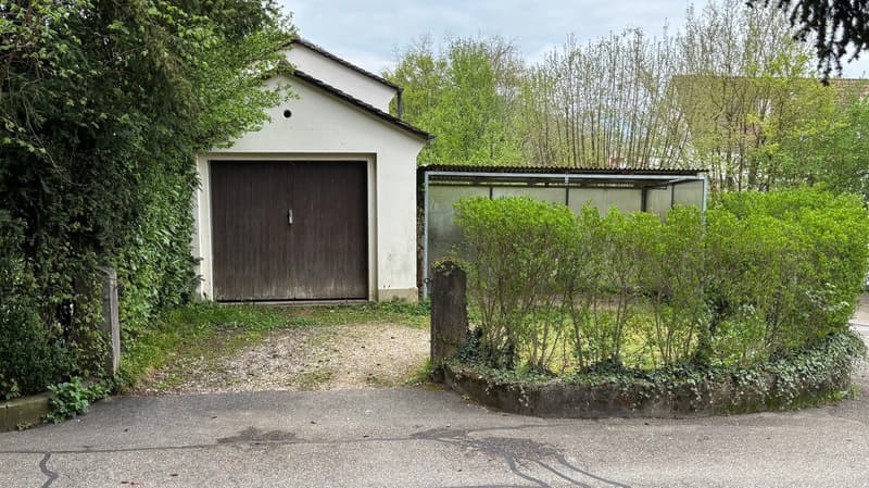 Villa di 10 stanze con grande giardino in posizione soleggiata e tranquilla (18)