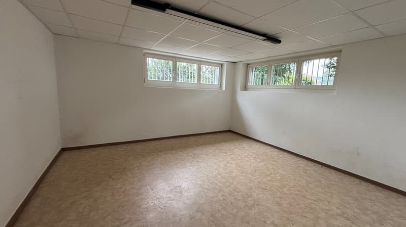 Villa di 10 stanze con grande giardino in posizione soleggiata e tranquilla (17)
