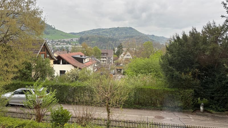 Villa di 10 stanze con grande giardino in posizione soleggiata e tranquilla (4)