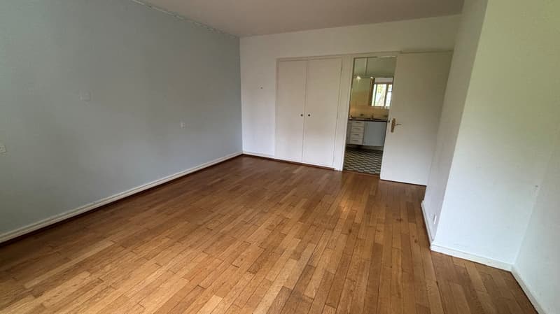 Villa di 10 stanze con grande giardino in posizione soleggiata e tranquilla (11)