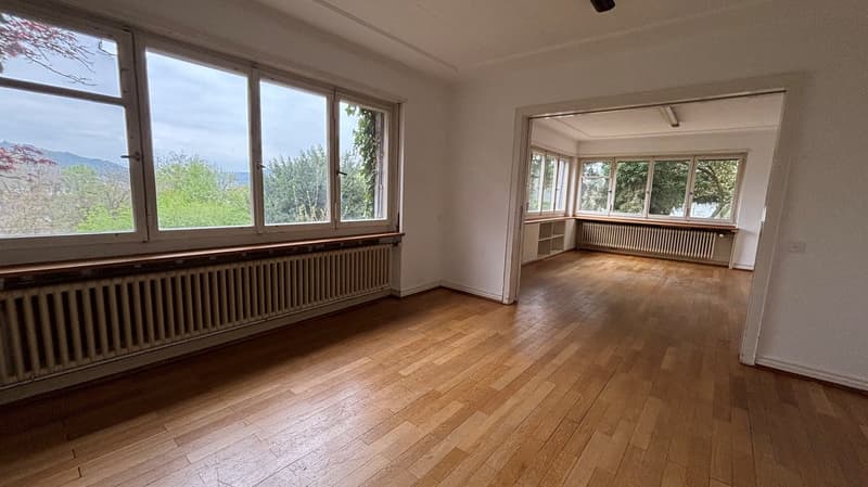 Villa di 10 stanze con grande giardino in posizione soleggiata e tranquilla (6)