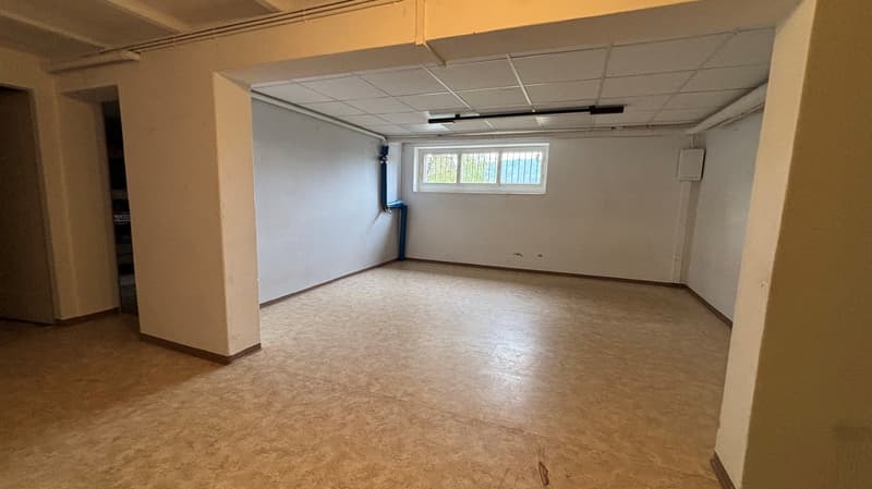Villa di 10 stanze con grande giardino in posizione soleggiata e tranquilla (16)