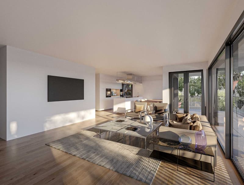 3.5-room apartments in a new residence. Finishes to the tenant's liking. (10)