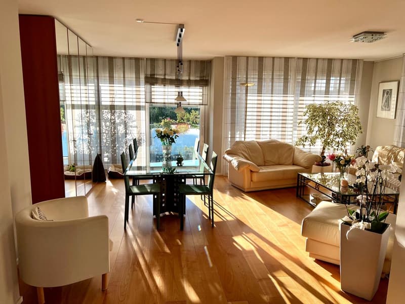 Ampio appartamento duplex in attico con 5.5 locali in affitto (1)