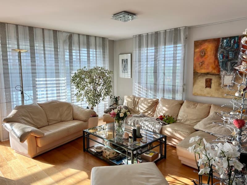 Ampio appartamento duplex in attico con 5.5 locali in affitto (3)