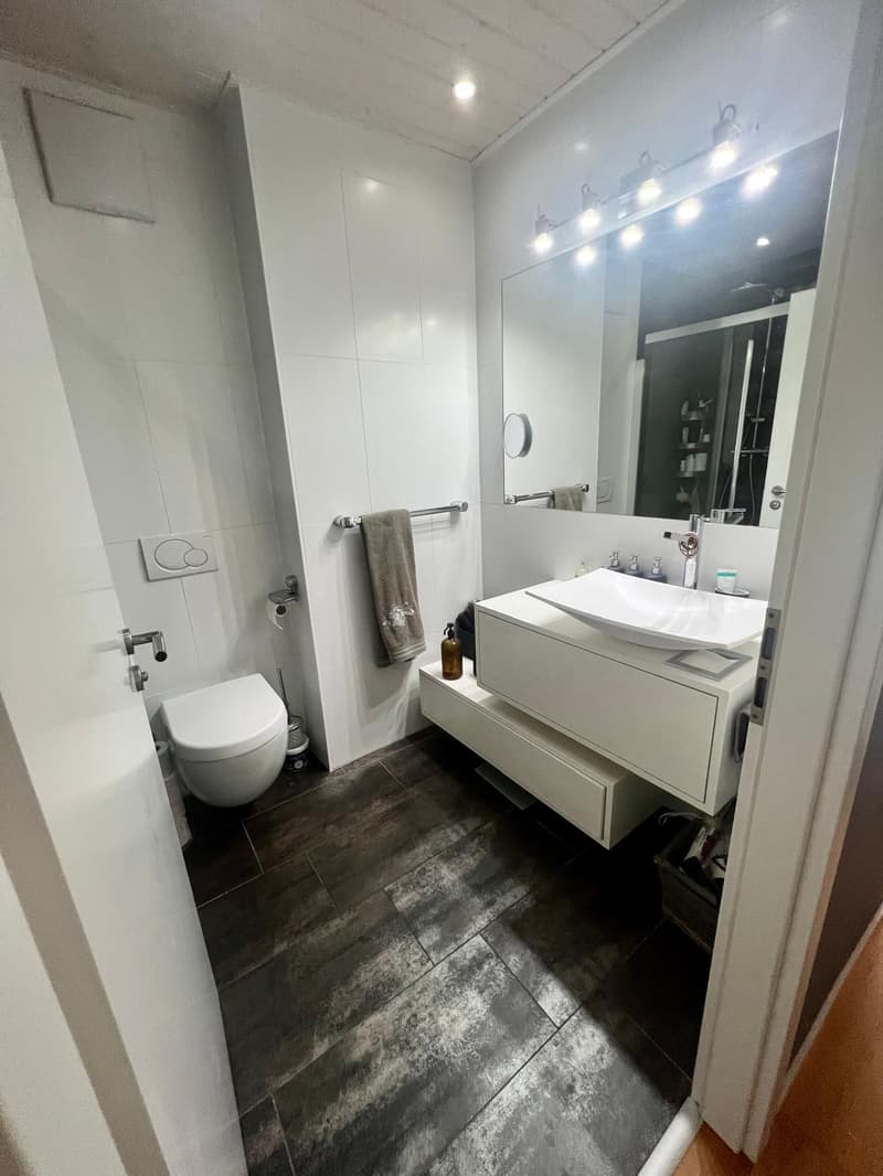 Ampio appartamento duplex in attico con 5.5 locali in affitto (9)