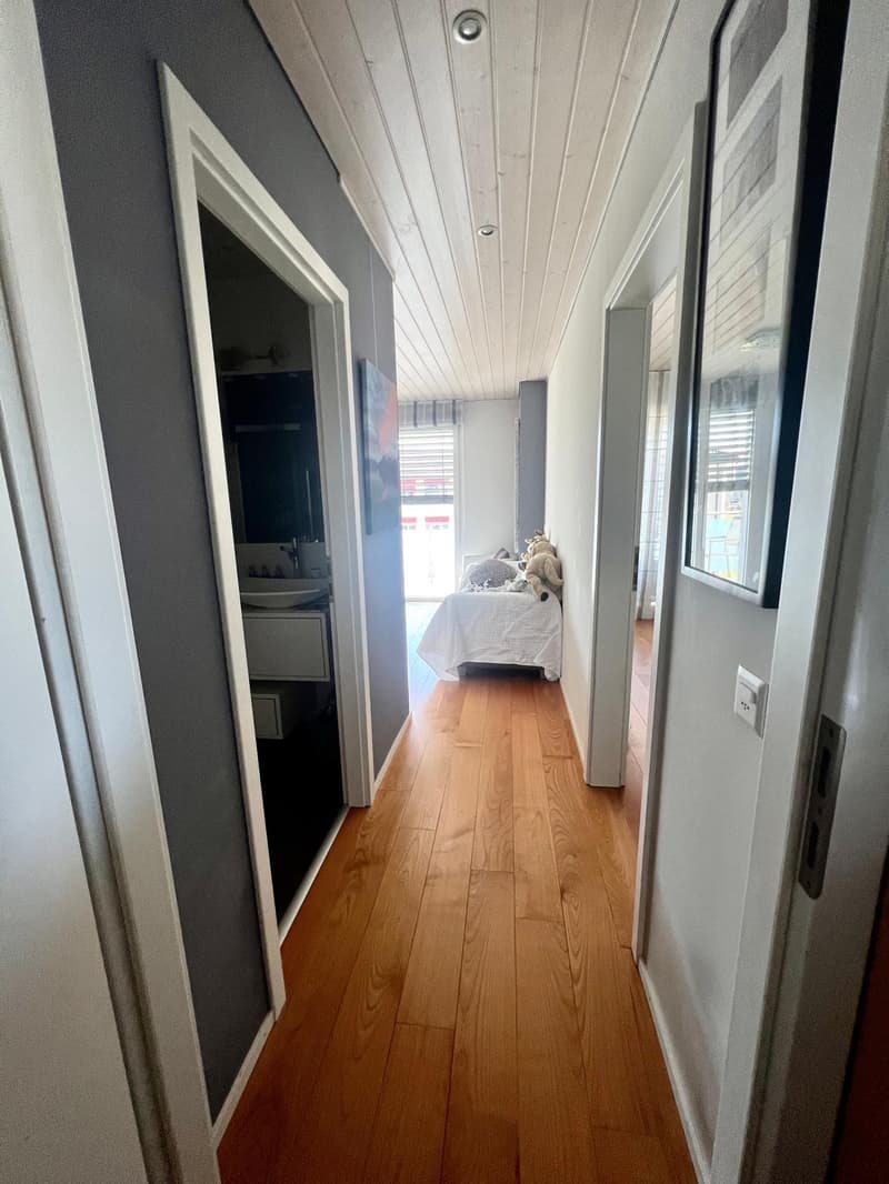 Ampio appartamento duplex in attico con 5.5 locali in affitto (10)