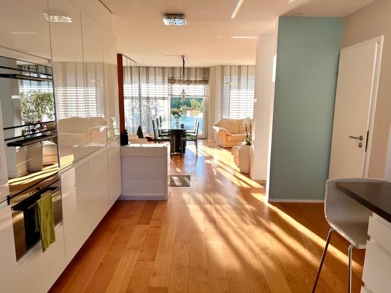 Ampio appartamento duplex in attico con 5.5 locali in affitto (4)