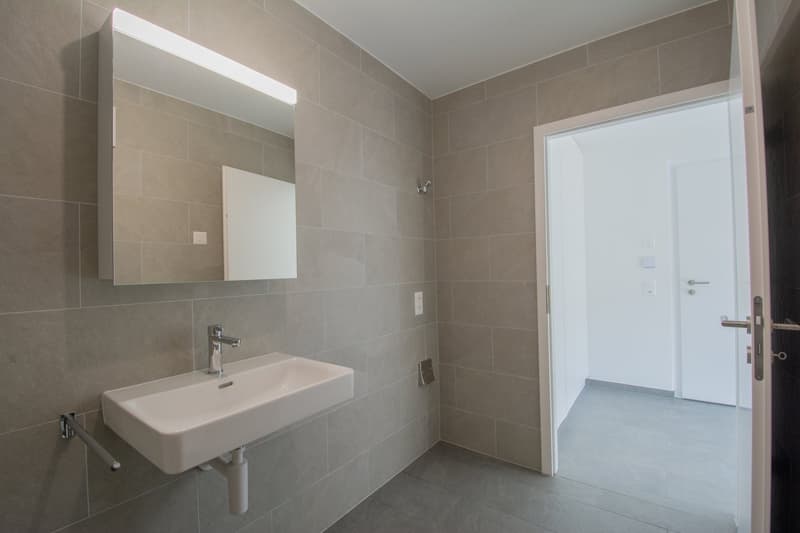 Charmant studio dans une nouvelle résidence à Uvrier ( commune de Sion ) (6)